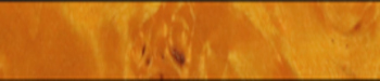 Wurzeldekor, hell