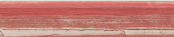 Rot