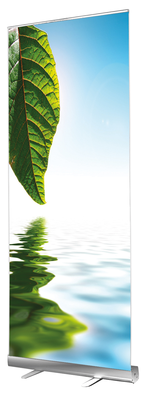 Roll Banner Budget Roll Banner Budget