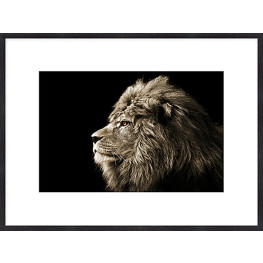 Nielsen Gerahmtes Bild „Löwe im Profil“ 80,0 x 60,0 cm