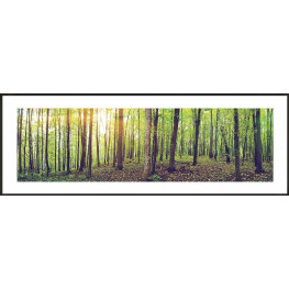 Nielsen Gerahmtes Bild „Wald“ 95,0 x 33,0 cm